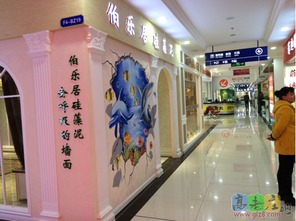 伯樂(lè)居硅藻泥 環(huán)保內(nèi)墻裝飾的卓越之選