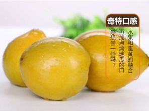 海南雞蛋果（蛋黃果） 應季熱帶珍果，孕婦營養(yǎng)佳選