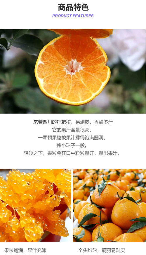 春見耙耙柑 來自四川的甜蜜問候