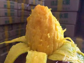 新鮮果園直供 足不出戶(hù)品嘗鮮美水果，價(jià)格超實(shí)惠