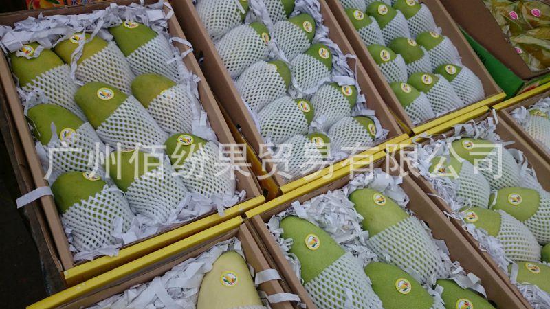 佰紛果海南水仙芒 出口級(jí)品質(zhì)認(rèn)證，48小時(shí)產(chǎn)地直發(fā)，體驗(yàn)“核薄如紙”的甜糯暴擊